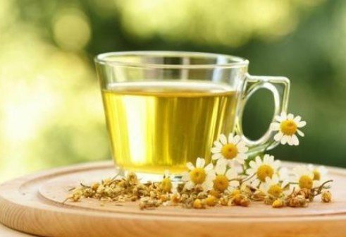Can I Buy Pure Chamomile Flower Tea in Noida at Go Sowa for Daily Use?