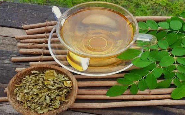 How effective is the best Moringa Tea for Weight Loss in Noida at Go Sowa?