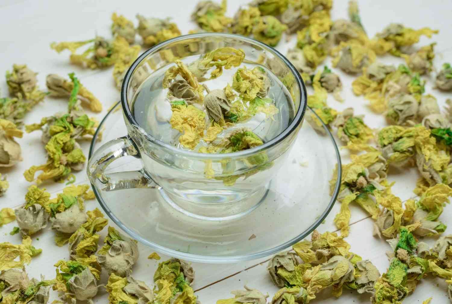 Is Jasmine Infusion Good for Relaxation and Stress Relief?