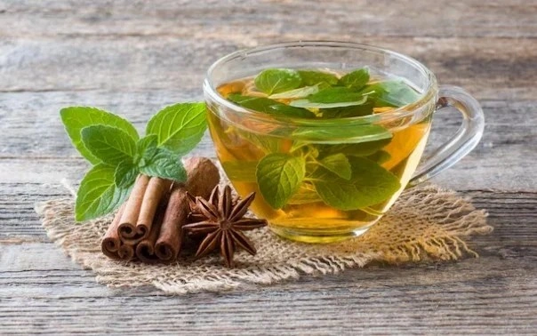 Is Go Sowa the Perfect Destination for the Best Jasmine Infusion Tea in Indrapuram?